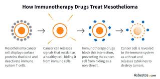 Image result for Immunotherapy