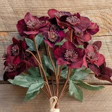 Maybe you would like to learn more about one of these? Faux Velvet Hellebores Bundle Maroon Colonial House Of Flowers Atlanta