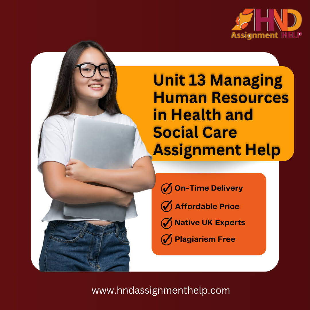 Managing Human Resources in Health Assignment help product image