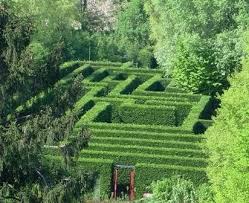 Italian Culture Explained With Social Media A Survival Guide For First Time Travelers In Italy Part 2 Halloween Maze Italian Garden Hedges