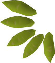Collecting cactus seeds is not too difficult, but some small tricks must be followed to avoid any kind of problems. Willow Seed Runescape Wiki Fandom