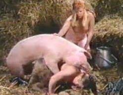 Do you have what it takes to escape piggy and uncover the mysteries surrounding the beast? Pig Sex Farm Xxx Pig And Boar Sex With Sexy Female Farmer Who Likes Horny Pigs