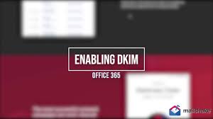 How To Set Up A Dns Record Spf Dkim And Dmarc For Microsoft Office 365 Mailshake Help