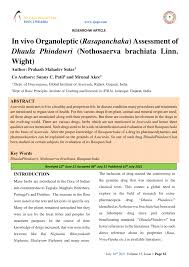 Image result for Nothosaerva