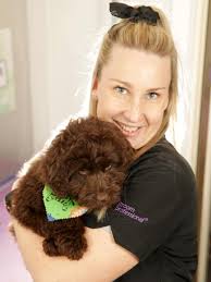 Dog groomers near me Melbourne: Top pre covid groomers voted by you