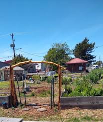 Welcome to home garden joy, the place to learn all about gardening. Joy Community Gardens Seashore Family Literacy