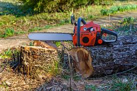 What Grade Of Oil Is Used On A Chainsaw Oiler Home Guides