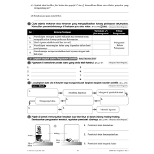 Nota matematik tingkatan 2 | bab 8 : Jawapan Eksperimen 1 1 Sains Tingkatan 5