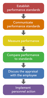 The original step with universal blocks. Steps In The Appraisal Process Human Resources Management