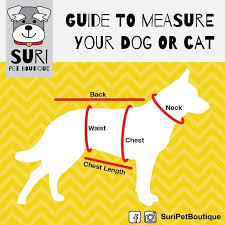 Gambar, wallpaper, keren, koleksi, gambar, anjing, dan, anak, name : Pet Boutique Cara Mengetahui Ukuran Baju Dan Sepatu Untuk Anjing Atau Kucing Anjing Kucing Sketsa