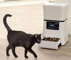 Skip to main search results. Best Cat Food Dispenser In Uk With Automatic Feeding Timer