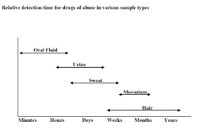 With very recent drug use, the drug will be present in the hair root (they can be found in the hair root as early as 8 hours after drug use), but not in the hair shaft above the skin. What Specimens Other Than Urine Are Used For The Detection Of Drug Abuse Aacc Org