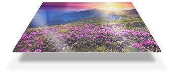 Easy Canvas Prints Promotional Code For 85 Off 2021 All of our canvas and metal print products are archival quality and along with the archival inks we use, they will last 100+ years in appropriate environments.