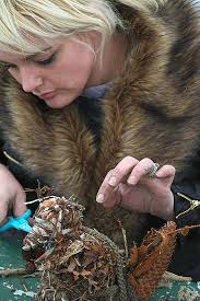 Merz Barn update: May 2017