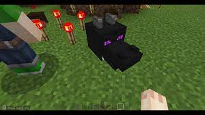 I have bought the game, i got the purchase comp. Glitch In Minecraft Education Edition Youtube