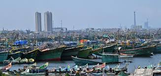 T.N. fishermen urge Centre, State to consider implementing annual ban during northeast monsoon season - The Hindu