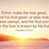 44 for every tree is known by its own fruit. 3