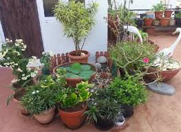 How To Build A Terrace Garden In India India Gardening