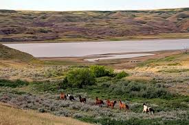 Life in saskatchewan is generally not that bad as people often portray. Saskatchewan In Kanada