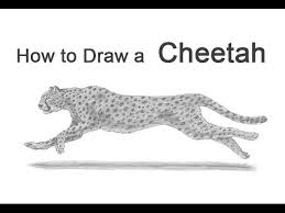 Draw this cute cheetah by following this drawing lesson.subscribe: How To Draw A Cheetah Running Youtube