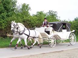 Hochzeitskutsche Mieten Hochzeitskutschfahrt Kutschfahrt Zur Hochzeit Willich Kaarst Gleve