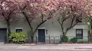 Check spelling or type a new query. Boerum Hill Neighborhood Real Estate The Corcoran Group
