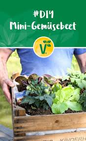 Diy Mini Gemusebeet Zum Verschenken Plant Happy Gemusebeet Pflanzen Verschenken