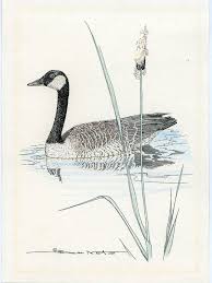 Pin On Pen And Ink Designs