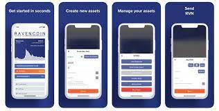 Top 5 Best Ravencoin Rvn Wallets To Use In 2021