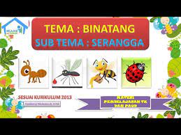 Bisa jadi referensi gambar untuk anak anak kita bunda,anak paud tk || tema binatang || menggambar #paud #tk #menggambar Tema Binatang Sub Tema Serangga Materi Pembelajaran Untuk Anak Tk Dan Paud Youtube