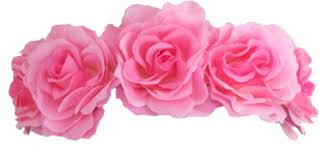 Tumblr Inline Mp8jukf1fl1r039aa Png 500 248 Pink Flower Crown Flower Crown Flower Hair Accessories