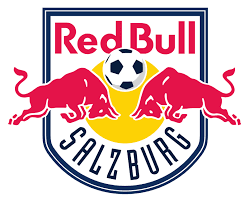 The division currently contains 16 teams, and the champion of the league is promoted to the austrian bundesliga. Bundesliga Osterreich Internationaler Fussball Fupa