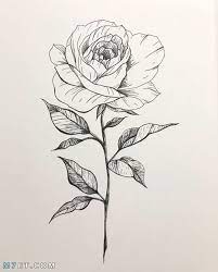 See more ideas about sleeping drawing, art tutorials watercolor, watercolor art diy. ØµÙˆØ± ÙˆØ±Ø¯ Ø±Ø³Ù… Ø· Ø±Ø³Ù… Ø§Ù„Ø¹ÙŠÙ†