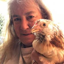 Can chickens taste what they are eating?