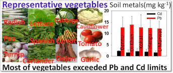 Lead And Cadmium Contamination And Exposure Risk Assessment Via Consumption Of Vegetables Grown In Agricultural Soils Of Five Selected Regions Of Pakistan Sciencedirect