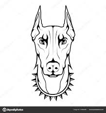 Doberman Head Drawing Doberman Drawing At Getdrawings Free For Personal Use Doberman Kids Drawing Art Doberman Tattoo Chihuahua Drawing Doberman