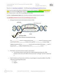 Trna, or transfer rna, is the decoder of the mrna message during protein translation. Essential Biology 7 3 7 4 Transcription Translation Ahl