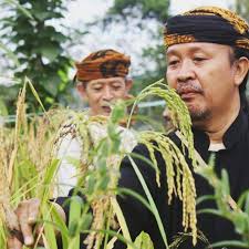 Mipit kudu amit ngala kudu menta aksara sunda. Mipit Kudu Amit Ngala Kudu Menta Kasepuhan Sinarresmi Facebook