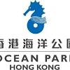 #海洋公園 #oceanpark #香港仔 #aberdeen海洋公園重開的第一天!多人嗎？有咩玩？│港島南區遊│香港好去處│hong kong ocean park｜4k｜vnt流浪地圖klook網上. Https Encrypted Tbn0 Gstatic Com Images Q Tbn And9gcr R1iqhh8pgnrzt7 G Grm8hr84ydilcwot6jnv3uqypqihpo8 Usqp Cau