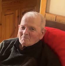 Brendan Bushe, Ballydevitt