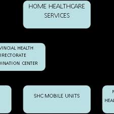 Organizational Structure Of Home Health Service Delivery At