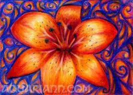 Items Similar To Orange Tiger Lily Art Flower Magnet Colored Pencil Drawing On Etsy Lilies Drawing Flower Prints Art Flower Magnets