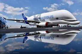 Antonov 225 vs airbus 380 from herpa wings and the real ones pamgaea by kevin macleod is licensed under c. Airbus Locks In Maiden Flight Date For Beluga Xl Samchui Com