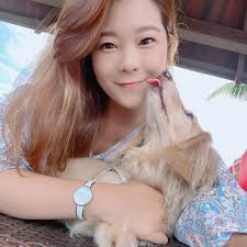 JUnius-寵物傾心者