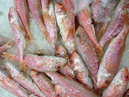 Le recul est moins fort pour le filet d'un kilo, à 2,62 euros. Poisson Frais Vendu Dans Un Marche Aux Poissons A Istanbul Turquie Banque D Images Et Photos Libres De Droits Image 80196198