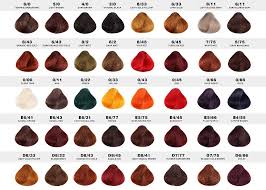 28 Albums Of Ppc Hair Colour Shades Explore Thousands Of