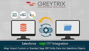 Gumu For Salesforce Sage Erp Integration In 2020 Salesforce Integrity Salesforce Integration