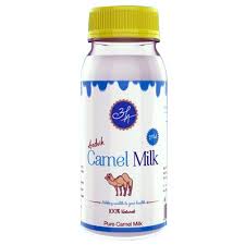 Camel milk is a source of natural insulin like protein. Buy Aadvik Camel Milk Frozen Online At Best Price Bigbasket