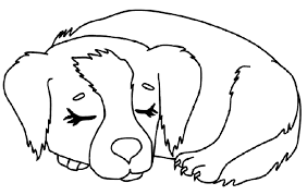 Hayvan Boyama Sayfasi Animal Coloring Pages Panosundaki Pin