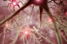 Get information and apply for state aid. 4 Early Warning Signs Of Ms You Shouldn T Ignore Cleveland Clinic